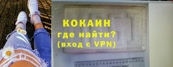 СК Новозыбков