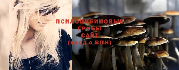 альфа пвп Бердск