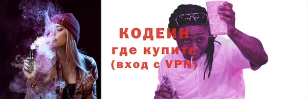 СК Новозыбков