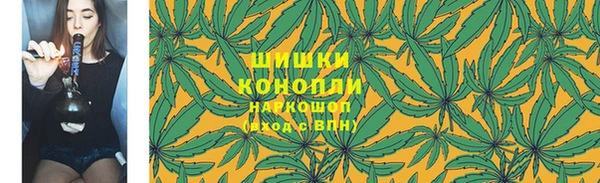 СК Новозыбков