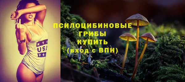 СК Новозыбков