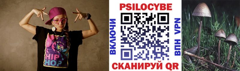 Псилоцибиновые грибы MAGIC MUSHROOMS  купить наркотик  Альметьевск 
